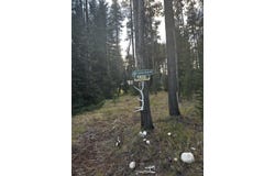 489 Secesh River Road, McCall, ID 83638