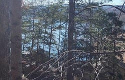 Deer Pond Circle, LaFollette, TN 37766