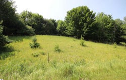 Deer Ridge Trail, Beulah, MI 49617