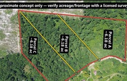 18.53AC County Road 3103, Call, TX 75933