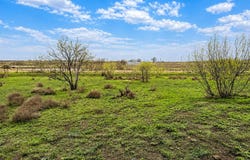 County Road 108, Buckholts, TX 76518
