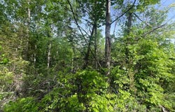 Big Hollow Rd, Monroe, TN 38573