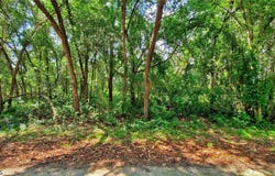 35084 Batesfield Street, Webster, FL 33597