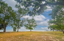 3226 Francis Marion Boulevard, Summerton, SC 29148