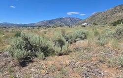 18 Sunrise Trail, Markleeville, CA 96120