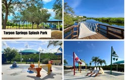 1650 Bold Lane, Holiday, FL 34691