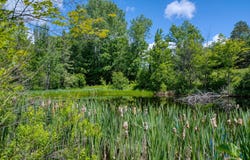 5971 CLEARVIEW CT, Hazelhurst, WI 54531
