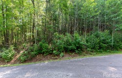 Rhododendron Drive, Saluda, NC 28773