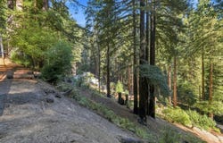 0 Stewart ST, BOULDER CREEK, CA 95006