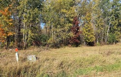 12168 250th Street, Milaca, MN 56353