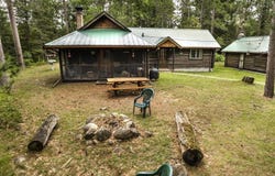 8779 Bingham Trail, Grayling, MI 49738