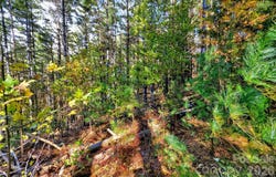 West Point Drive, Nebo, NC 28761