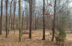 1075 Augusta Hicks Road, Walnut Cove, NC 27052