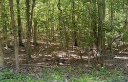Raspberry Court lot: 569, Brandenburg, KY 40108