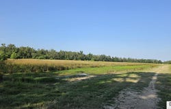 MCHAND DRIVE, Delhi, LA 71232