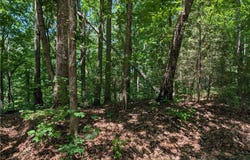 153 Nottingham Drive, Westminster, SC 29693