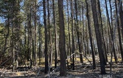 Cloudcap Drive, Chiloquin, OR 97624