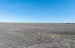 Farm, Deport, TX 75435