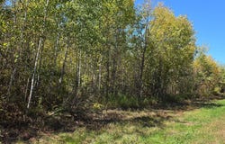 ON CTH W, Winter, WI 54896