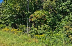 LANKFORD HWY, ACCOMAC, VA 23301