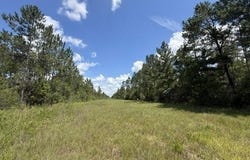 Elmer Hamilton Road, Moss Point, MS 39562