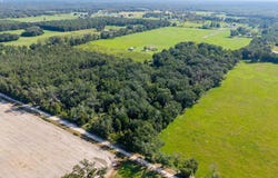 2450 SW 25th Ave, Bell, FL 32619