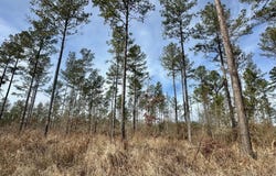 01 Prentiss Crump Road, Terry, MS 39170