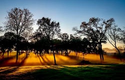 8321 Equestrian Lane, Washington, TX 77880