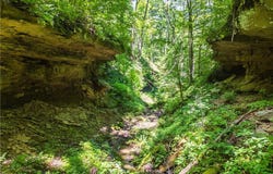Norris Road, Tippecanoe, OH 44699