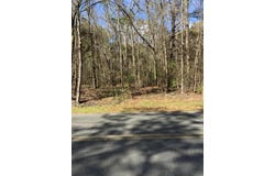 5037 Doctor Taylor Road, Adams Run, SC 29426