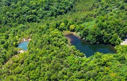 02 Little White Oak Rd., Duff, TN 37729