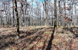 3373 HWY 347, Bismarck, AR 71929