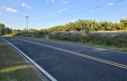 72 McQueen Street, Johnston, SC 29832