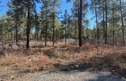 1086 Edgemont Highlands Drive, Durango, CO 81301