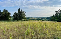 Skinner Road, Ellsworth, MI 49729