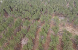 Lapile Road, Strong, AR 71765