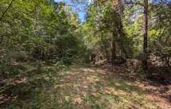 477 County Road 168, Jasper, TX 75951