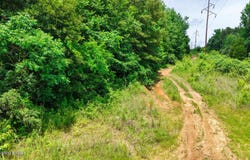 1 Ditney Hill Rd, Drakesboro, KY 42337