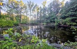 HWY 63, Rison, AR 71665