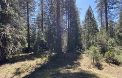 3-E-7 Mt Shasta Dr, McCloud, CA 96057