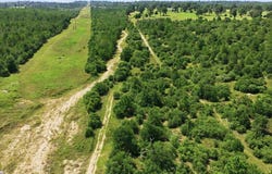 Hwy 21 E, Bastrop, TX 78602