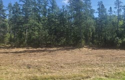 Highway 77, Minong, WI 54859