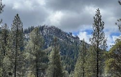 380 Summit Creek Rd, Hayfork, CA 96041