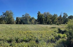 CRAVENS Rd lot: 134, Savannah, TN 38372