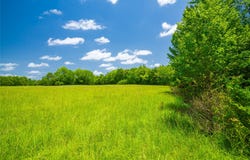 County Road 3311, Omaha, TX 75571