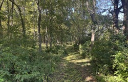 21 County Road 500 E, Sadorus, IL 61872