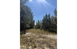 Mt Beulah Road, Windsor, SC 29856