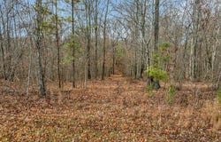 Crockett Point, Jasper, TN 37347