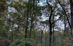 Tract 6 CR 369, OXFORD, MS 38655