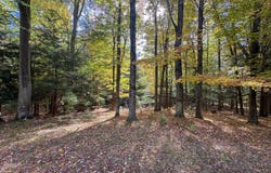 2330 N Peterson Road, Ludington, MI 49431